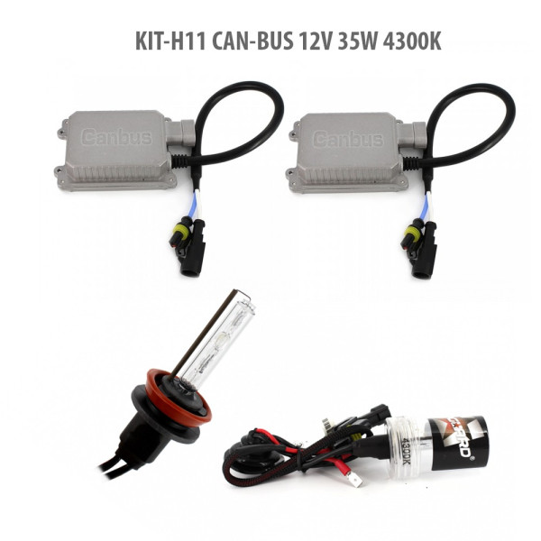 H11 CAN-BUS 12V 35W 4300K ǀ H11-KIT-CB-4.3