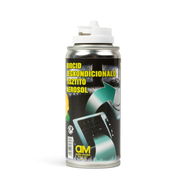 Spray pt curatarea aerului conditionat si habitaclu auto - 100 ml ǀ 17216B