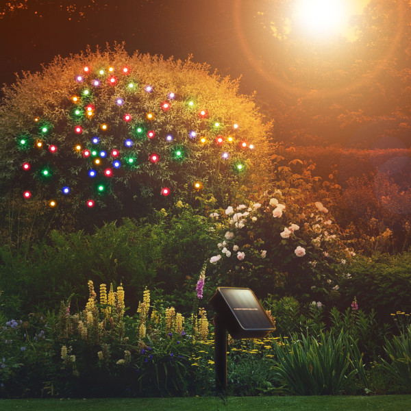 Garden of Eden - Sir de lumini LED 50 buc. LED-uri color, 2 functii, 5+2 m ǀ 11242 - imagine 2