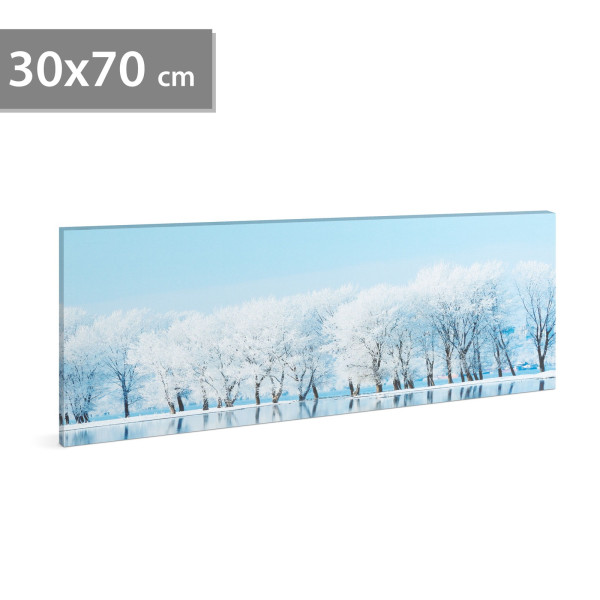 Tablou decorativ cu LED - 70 x 30 cm - peisaj de iarna ǀ 58480A