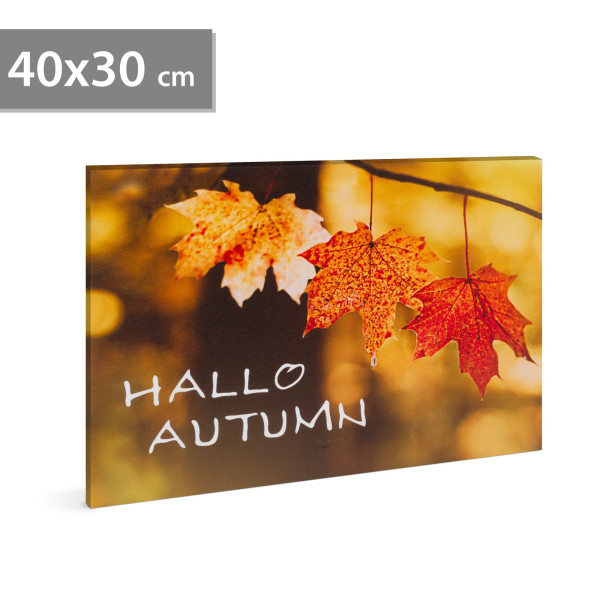 Tablou LED - "Hello Autumn" - 2 x AA, 40 x 30 cm ǀ 58502 - imagine 2